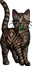 Littlecloud.mc