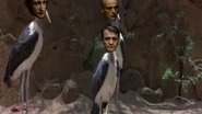 Chuikov and his birds
