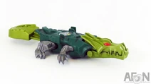 Gator
