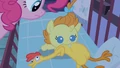 Pinkie Pie setting her down S2E13.png