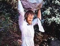 The Pioneers - David Tate