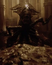 Genetic Queen