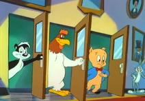 The Looney Tunes & Warner Brothers