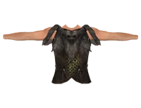 Savior's Hide (Oblivion)