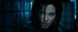Vlcsnap-2012-01-08-04h54m22s36