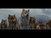 Leah, Seth & Rest of The Black Pack