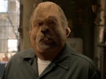 221-Bud woged