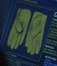 Carey Loftin's Gloves