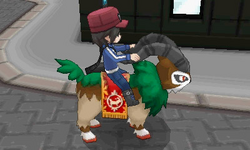 Entrenador montado en un Gogoat