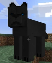 Black Panther