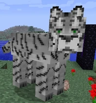 White Tiger
