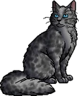 Dapplenose.warrior