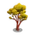 Asian Rosewood Tree-icon