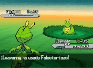 Falsotortazo N2B2