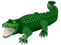 Krokodil