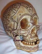 *Skull-Right 3-4
