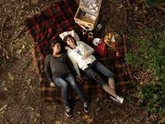 Picnic