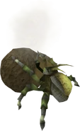 Dung kalphite