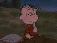 What Have We Learned, Charlie Brown (9)