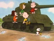 What Have We Learned, Charlie Brown (24)