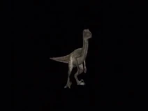 Raptor