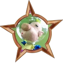 Badge-introduction