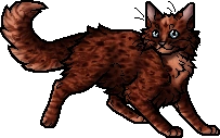 Copperpaw.apprentice