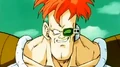 Recoome33