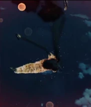 ICBM Destroyed