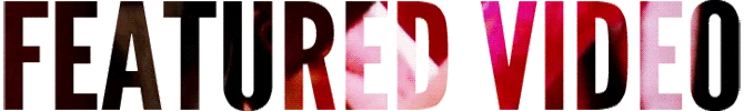 Featuredfinchelvideo