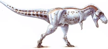 Daspletosaurus-1