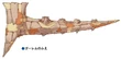 Golem's Flute alt FFIX Art