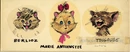 KittenConceptsKA