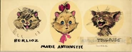KittenConceptsKA