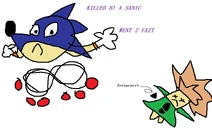 Killed-by-a-sanic