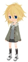 Hikarisoc neet v1