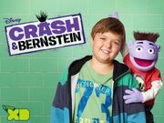 Crash y Bernstein