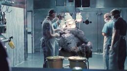 Episode3.4-creature-1