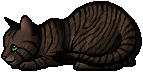 Tawnypelt.kit.alt2.png (7 KB) Tawnypelt.kit.alt2