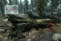 DG Cache Volskygge.png