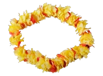 Kamehameha Hawaiian Le