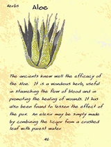 FloraHammerfell01
