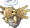Shedinja