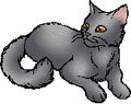 Willowbreeze.star.alt
