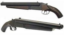 Shotgunview1