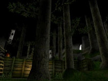 Tenchu4point