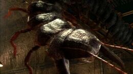 Episode1.2-arthropleura-1