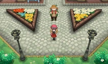 XY4