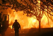 Forestfire
