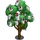 Diploma Tree-icon